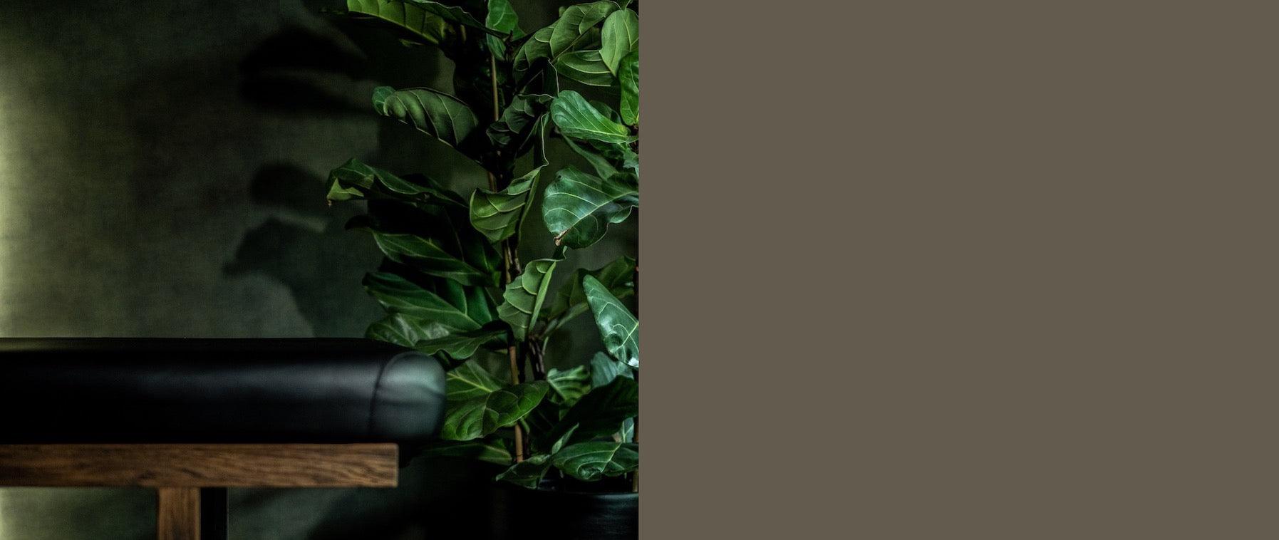 Mr. Adam Men's Salon Behandelruimte The Green